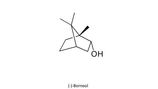 용뇌(龍腦) Borneolum