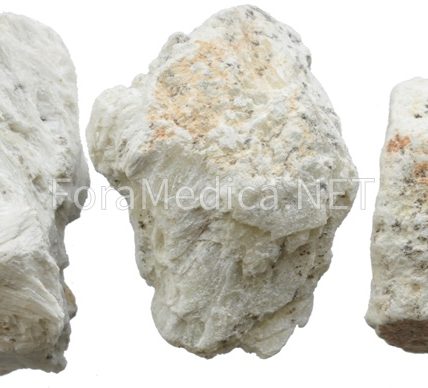 양기석 - 투섬석(透閃石 ;  Tremolite)