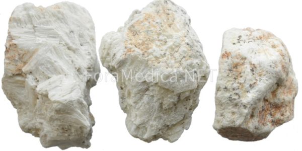 양기석 - 투섬석(透閃石 ;  Tremolite)