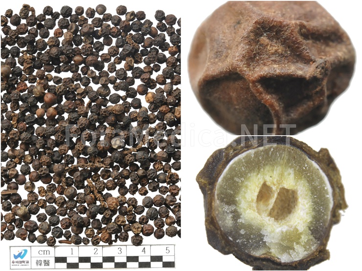 호초(胡椒) Piperis Nigri Fructus