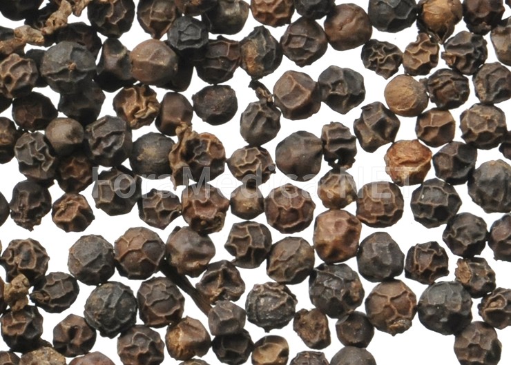 호초(胡椒) Piperis Nigri Fructus